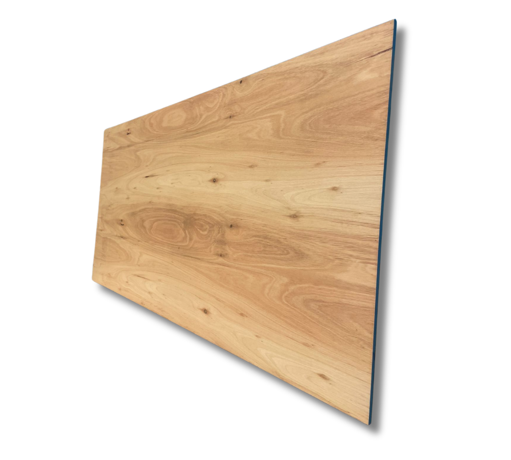 fenólico eucalipto calidad 4